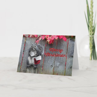 5 x 7 julkort med Squirrel Tack Kort