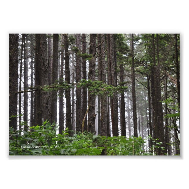 5 x 7 La Push 2nd Beach Trail Fototryck (Framsidan)