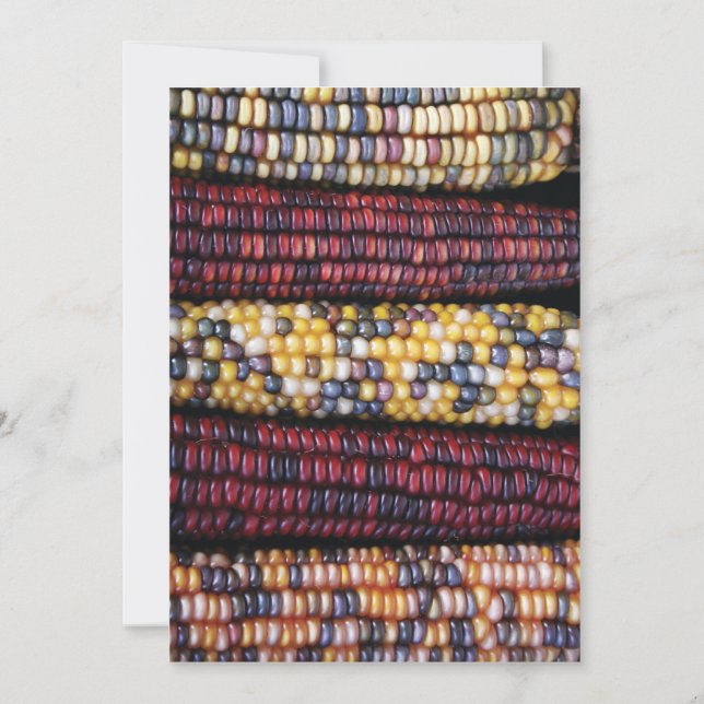 5 x 7-Thanksgiving kort (Framsida)