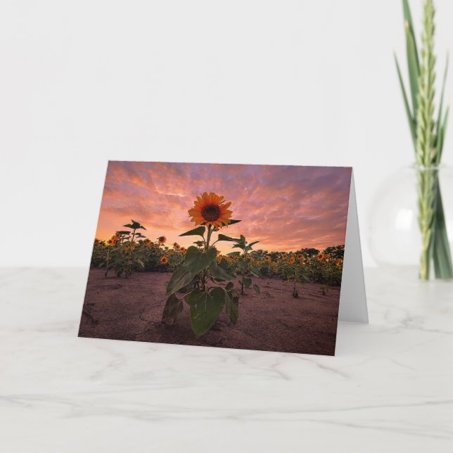 5 x 7 tomma anteckningskortsuppsättningar anteckningskort (Framsida)