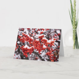 5 x 7 tomma anteckningskortsuppsättningar anteckningskort