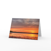 5 x 7 tomma anteckningskortsuppsättningar