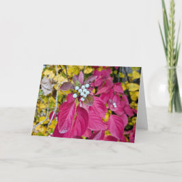 5 x 7 tomma anteckningskortsuppsättningar anteckningskort