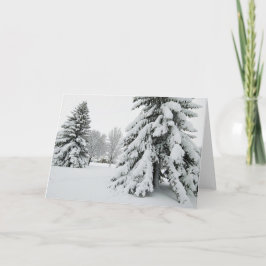 5 x 7 tomma anteckningskortsuppsättningar anteckningskort