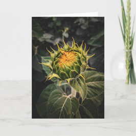 5 x 7 tomma anteckningskortsuppsättningar anteckningskort