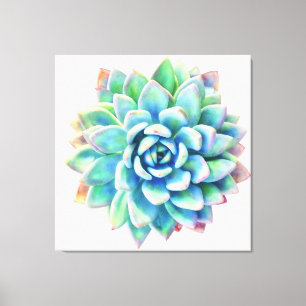 5ft x 5ft extra stor suckulent kanvastryck