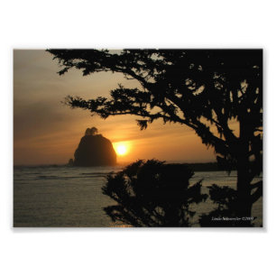 5X7 La Push, Washington Fototryck