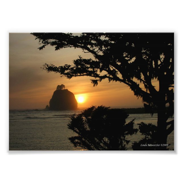 5X7 La Push, Washington Fototryck (Framsidan)