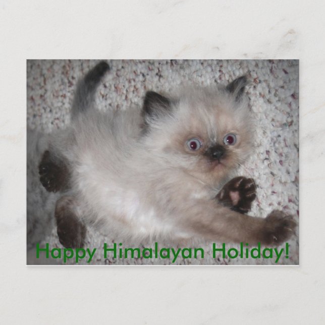 5x7zazzle lycklig Himalayan helgdag! Helg Vykort (Framsida)