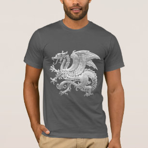 [600] Isländsk drake, Landvættir [silver] Tee Shirt