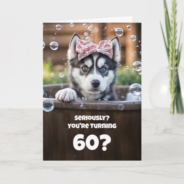 60-års söt och humoristisk Husky-hundbad Kort (Framsida)