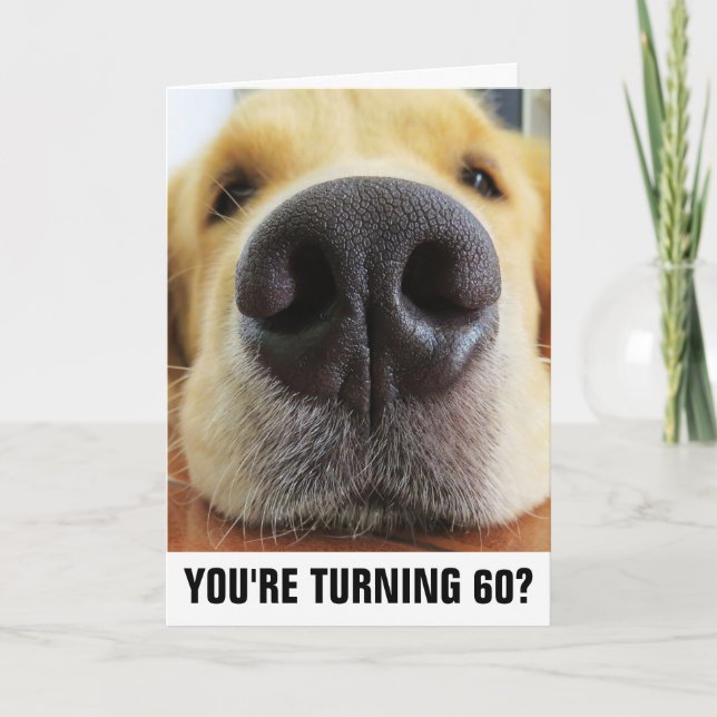 60:E BIRTHDAG ROLIG HUND GREETINGKORT KORT (Framsida)