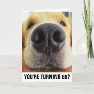 60:E BIRTHDAG ROLIG HUND GREETINGKORT KORT