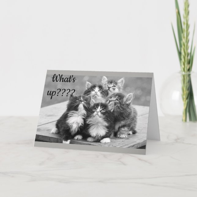 *60:e BIRTHDAY ÖNSKEMÅL* VAD ÄR DET? DIN ÅLDER! Ko Kort (Framsida)