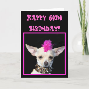 60:e födelsedag med Chihuahua Punk-hälsningskort i Kort