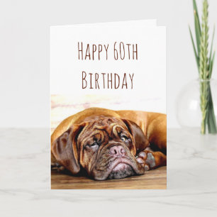 60:e födelsedagseftermiddagen Hund Viktigt Humor Kort