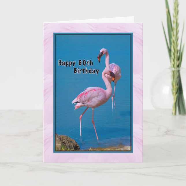60:e födelsedagskort med Rosa Flamingo Kort (Framsida)