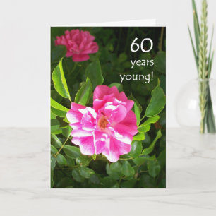 60:e födelsedagskortet - Rosa ros Kort