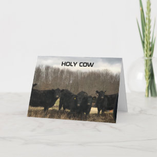 **60th** BIRTHDAY "HELIGA COW" Kort