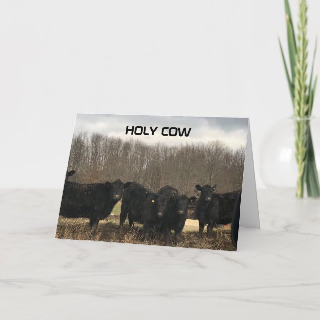 **60th** BIRTHDAY "HELIGA COW" Kort (Framsida)