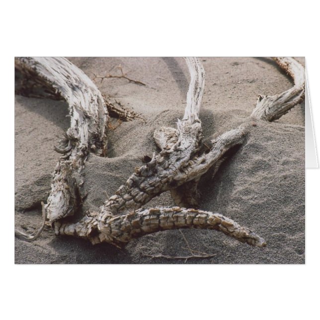 61. Trä Antler Rack Hälsningskort (Framsidan Horizontal)