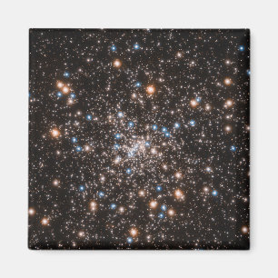 6397 MAGNET
