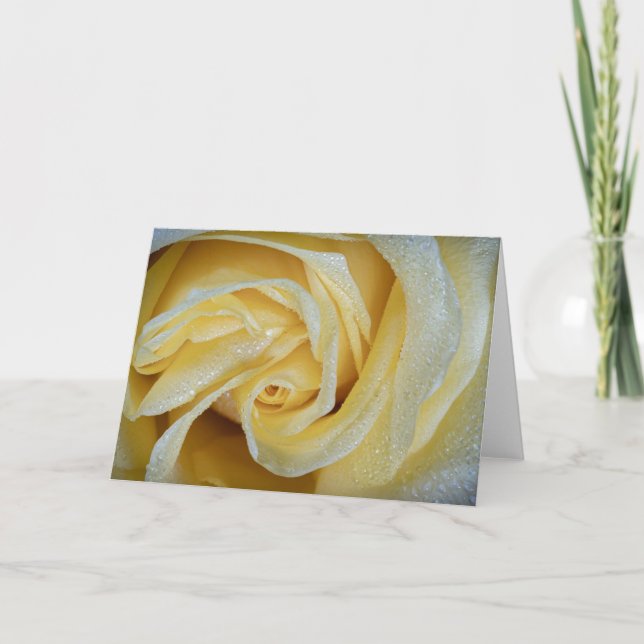 6557-Gul ros med Dew Kort (Framsida)