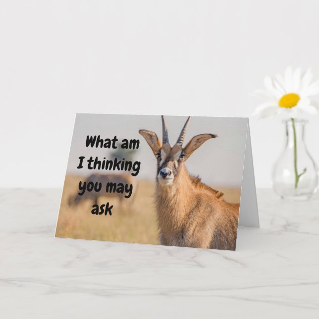 "65e BIRTHDAY HUMOR VIA ANTELOPE Card Kort (Liten växt)