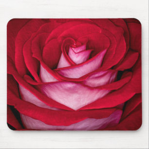 6621-Röd, Vit och Rosa ros Musmatta