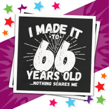 66 år gammalt Sarkastic Meme Funny 66:e födelsedag