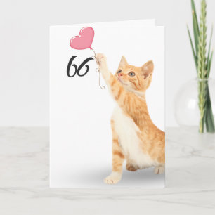 66-årsdagen tabby katt kort