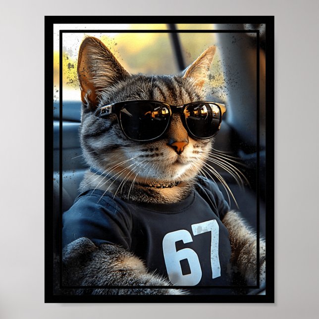 67 And Still Cool Funny Birthday Meme Cat  Poster (Framsidan)