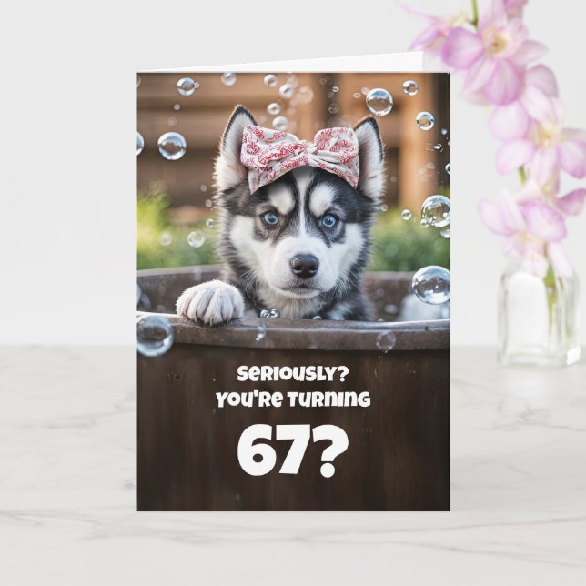 67-årsdag Söt och rolig Husky Hund Bubblor Kort (Orkide)