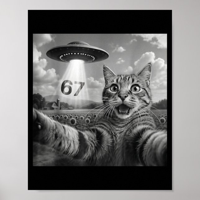 67 Cat Selfie With Alien Ufos Funny Cat Six Seven  Poster (Framsidan)