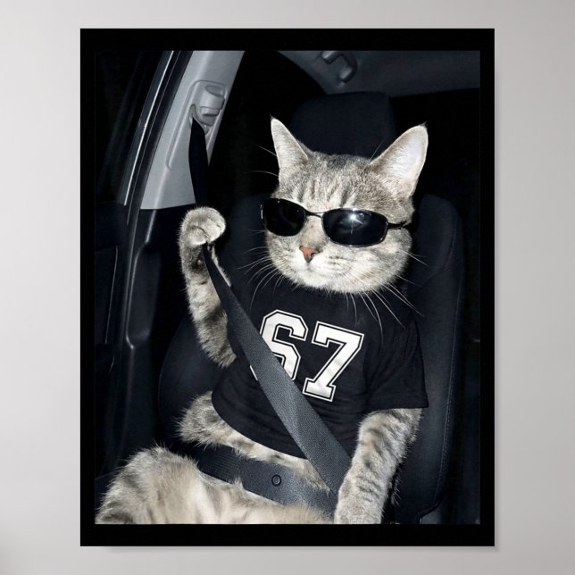 67 Cat Wearing Sungles Gen Alpha Funny Six Seven 6 Poster (Framsidan)