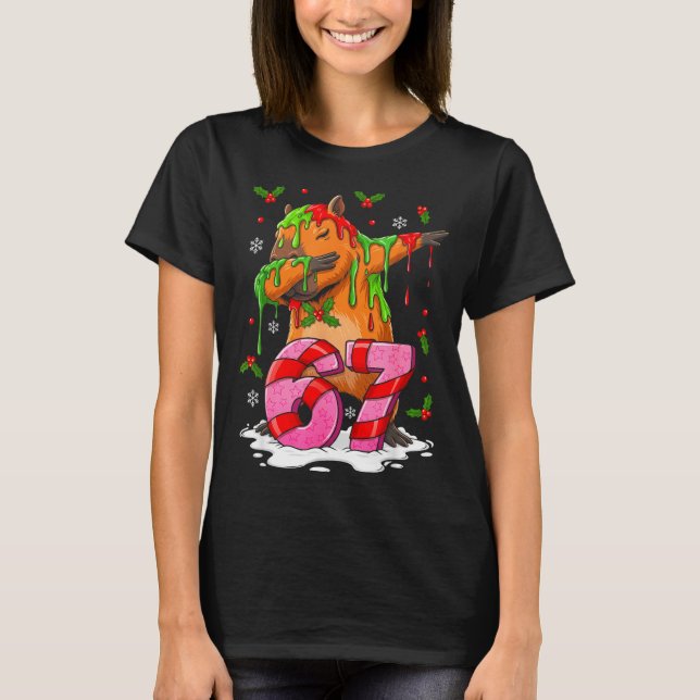 67 Christmas Funny 67 Brainrot Youth Kids Capybara T Shirt (Framsida)