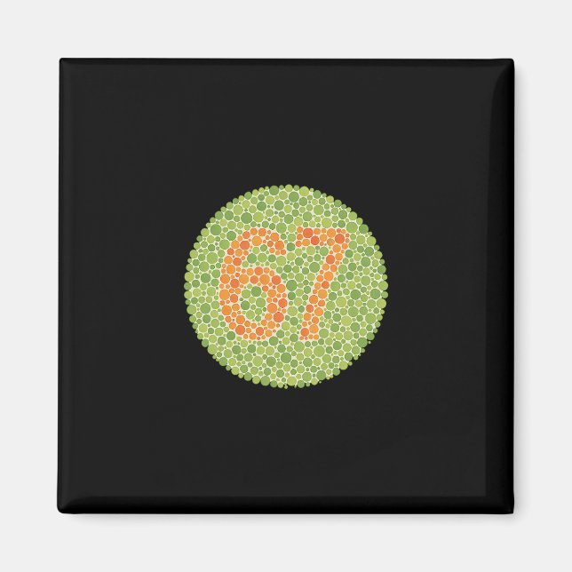 67 Ishihara Test Roligt Färgblindhetstest 6 7 Vi Magnet (Framsidan)