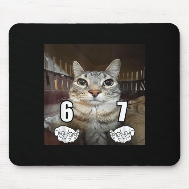 67 Meme Funny Cat Six Seven Meme 6 7  Musmatta (Framsidan)