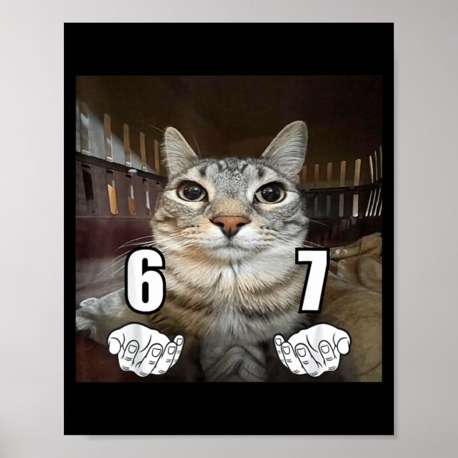 67 Meme Funny Cat Six Seven Meme 6 7  Poster (Framsidan)