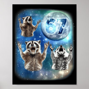 67 Meme Tre Tvättbjörn Vrålar Mot Månen 67 Poster