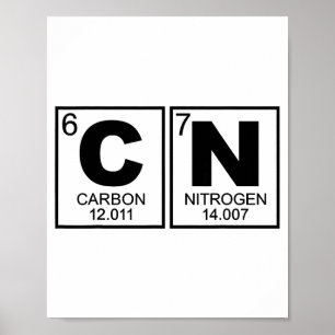 67 Memojirolig vetenskapslärare Periodiska systeme Poster