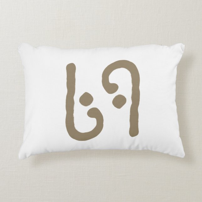 69 ACCENT PILLOW PRYDNADSKUDDE (Framsidan)