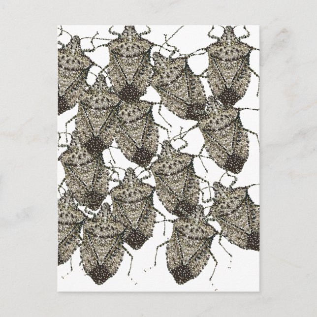 6-07-14 stink bugs rev.png vykort (Framsida)
