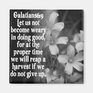 6:9 FÖR BIBELSCRIPTURE GALATIANS MAGNET