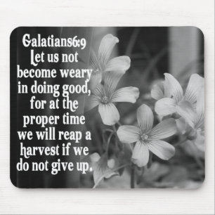 6:9 FÖR BIBELSCRIPTURE GALATIANS MUSMATTA