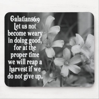 6:9 FÖR BIBELSCRIPTURE GALATIANS MUSMATTA