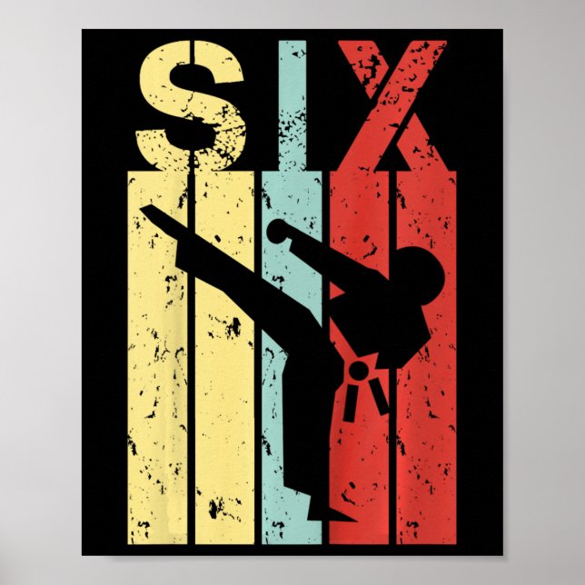 6 års gammal Karate Birthday Boy 6e Birthday K Poster (Framsidan)