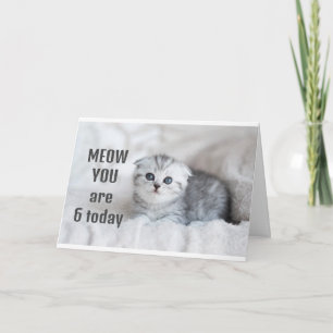 **6 ÅRS GIRL'S BIRTHDAY** KORT