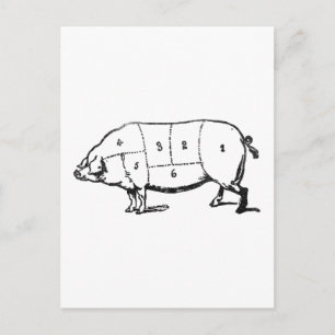 6 Bacongrader Vykort