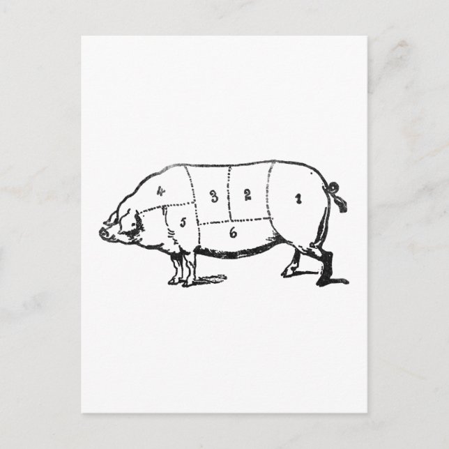 6 Bacongrader Vykort (Framsida)